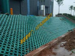 常用的午夜视频国产视频種類有哪些